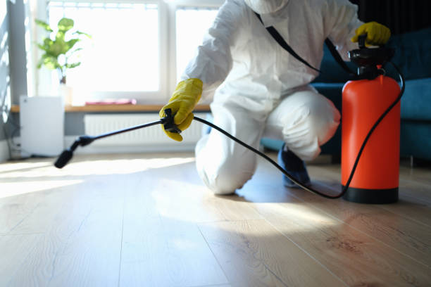Best Affordable Pest Control Services  in Mount Airy, GA