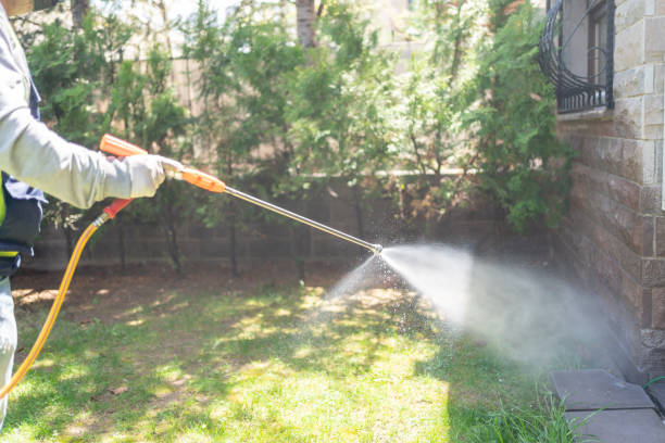 Flea Control Services in Mount Airy, GA