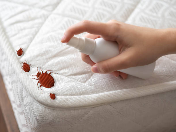 Best Residential Pest Control  in Mount Airy, GA